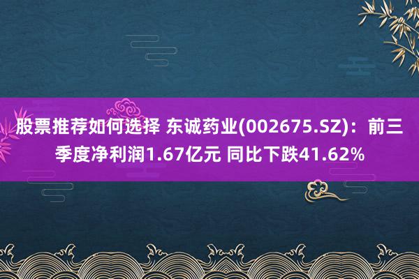 股票推荐如何选择 东诚药业(002675.SZ)：前三季度净利润1.67亿元 同比下跌41.62%