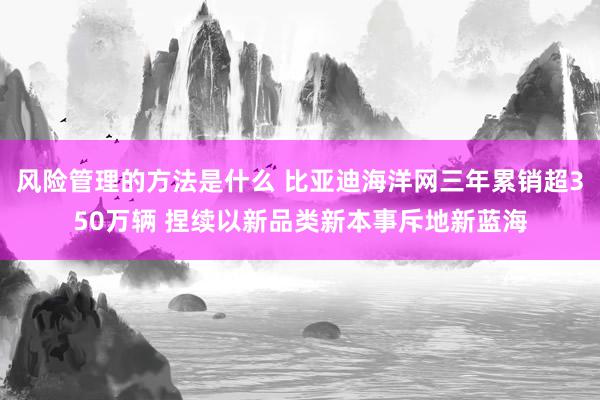 风险管理的方法是什么 比亚迪海洋网三年累销超350万辆 捏续以新品类新本事斥地新蓝海