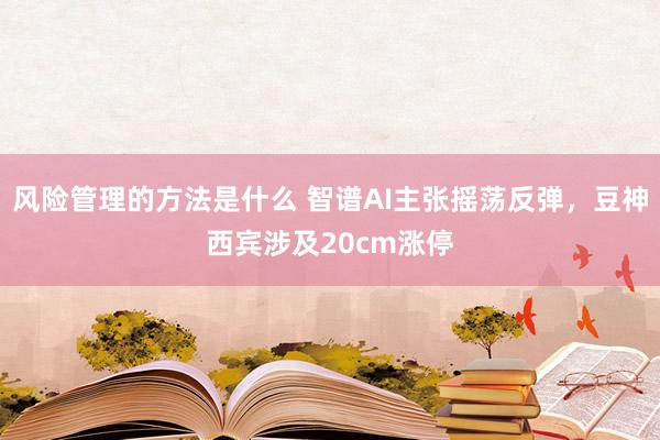 风险管理的方法是什么 智谱AI主张摇荡反弹，豆神西宾涉及20cm涨停