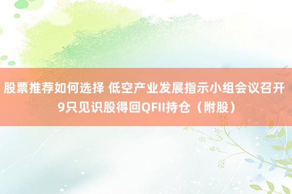 股票推荐如何选择 低空产业发展指示小组会议召开 9只见识股得回QFII持仓（附股）