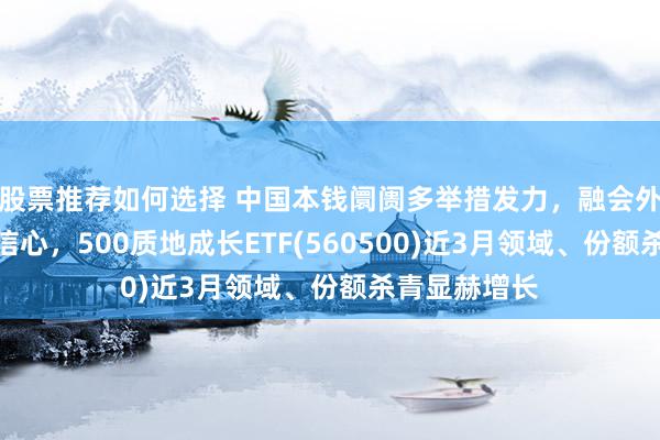 股票推荐如何选择 中国本钱阛阓多举措发力，融会外资机构参与信心，500质地成长ETF(560500)近3月领域、份额杀青显赫增长