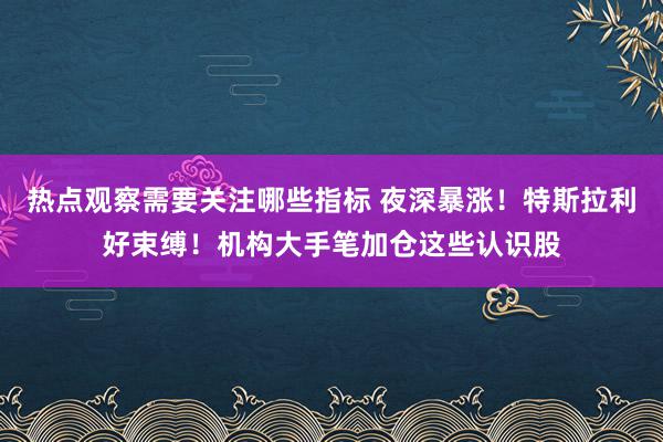 热点观察需要关注哪些指标 夜深暴涨！特斯拉利好束缚！机构大手笔加仓这些认识股