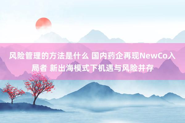 风险管理的方法是什么 国内药企再现NewCo入局者 新出海模式下机遇与风险并存