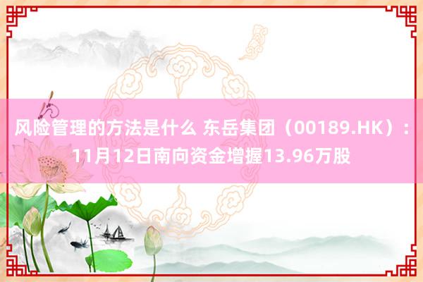 风险管理的方法是什么 东岳集团（00189.HK）：11月12日南向资金增握13.96万股