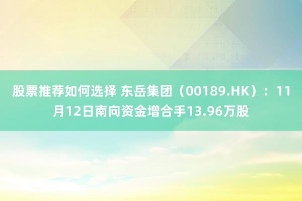 股票推荐如何选择 东岳集团（00189.HK）：11月12日南向资金增合手13.96万股