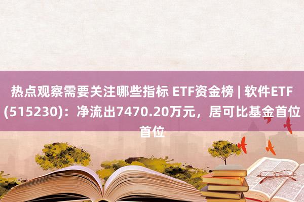 热点观察需要关注哪些指标 ETF资金榜 | 软件ETF(515230)：净流出7470.20万元，居可比基金首位