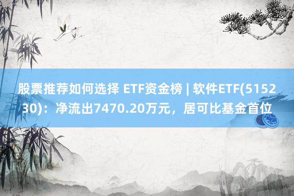 股票推荐如何选择 ETF资金榜 | 软件ETF(515230)：净流出7470.20万元，居可比基金首位