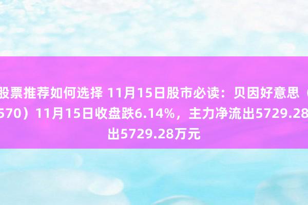 股票推荐如何选择 11月15日股市必读：贝因好意思（002570）11月15日收盘跌6.14%，主力净流出5729.28万元