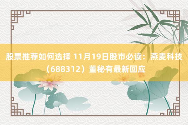 股票推荐如何选择 11月19日股市必读：燕麦科技（688312）董秘有最新回应