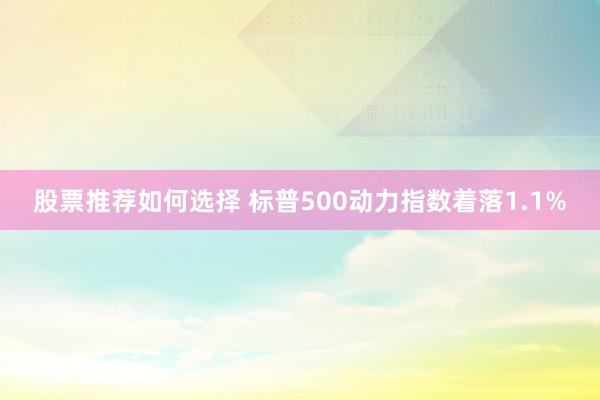 股票推荐如何选择 标普500动力指数着落1.1%