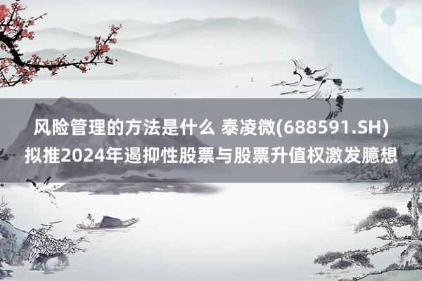 风险管理的方法是什么 泰凌微(688591.SH)拟推2024年遏抑性股票与股票升值权激发臆想