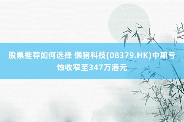 股票推荐如何选择 懒猪科技(08379.HK)中期亏蚀收窄至347万港元