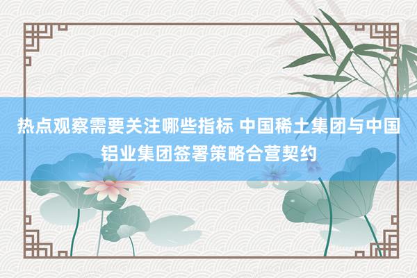 热点观察需要关注哪些指标 中国稀土集团与中国铝业集团签署策略合营契约