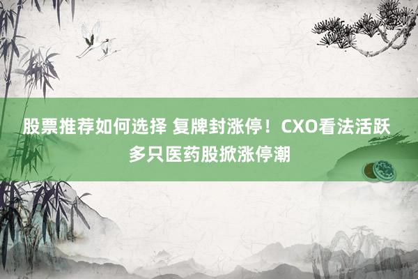 股票推荐如何选择 复牌封涨停！CXO看法活跃 多只医药股掀涨停潮