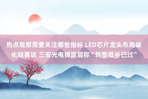 热点观察需要关注哪些指标 LED芯片龙头布局碳化硅赛谈 三安光电搞定层称“转型低谷已过”