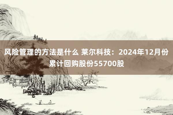 风险管理的方法是什么 莱尔科技：2024年12月份累计回购股份55700股