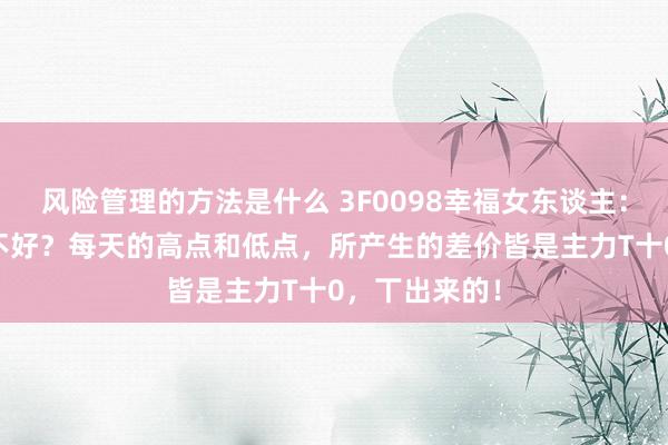 风险管理的方法是什么 3F0098幸福女东谈主：T十0走动好不好？每天的高点和低点，所产生的差价皆是主力T十0，丅出来的！