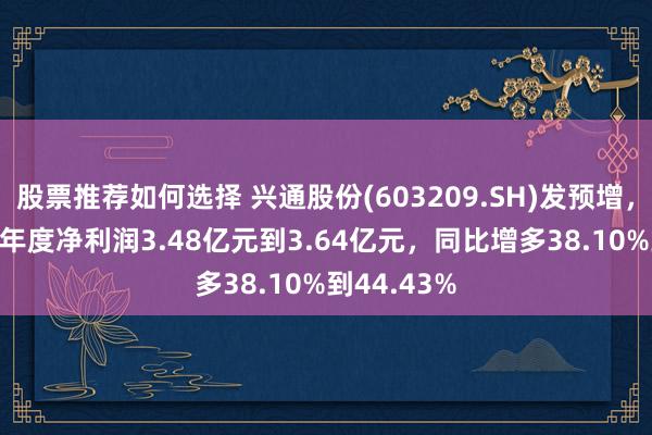 股票推荐如何选择 兴通股份(603209.SH)发预增，预测2024年度净利润3.48亿元到3.64亿元，同比增多38.10%到44.43%