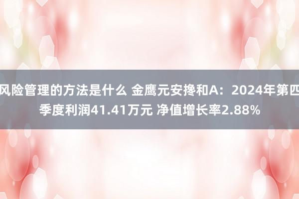 风险管理的方法是什么 金鹰元安搀和A：2024年第四季度利润41.41万元 净值增长率2.88%