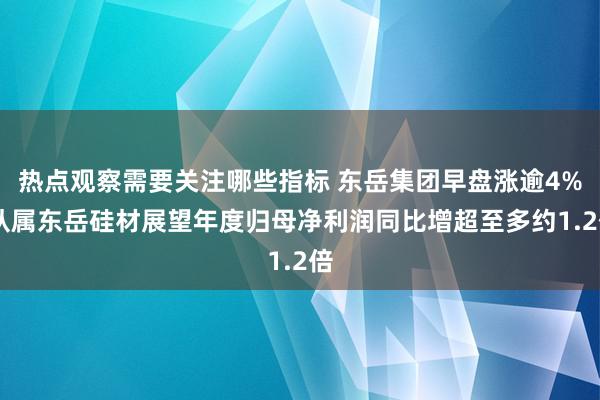 热点观察需要关注哪些指标 东岳集团早盘涨逾4% 从属东岳硅材展望年度归母净利润同比增超至多约1.2倍