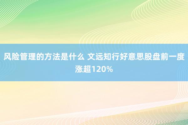 风险管理的方法是什么 文远知行好意思股盘前一度涨超120%