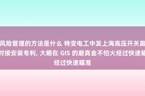 风险管理的方法是什么 特变电工中发上海高压开关赢得对接安装专利, 大略在 GIS 的磨真金不怕火经过快速瞄准