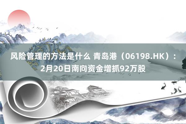 风险管理的方法是什么 青岛港（06198.HK）：2月20日南向资金增抓92万股