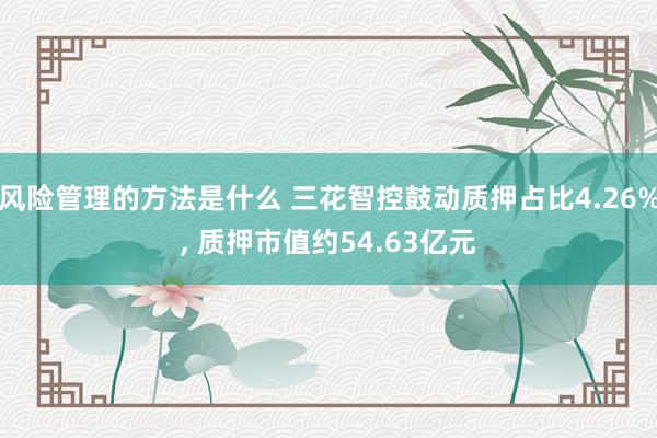 风险管理的方法是什么 三花智控鼓动质押占比4.26%, 质押市值约54.63亿元