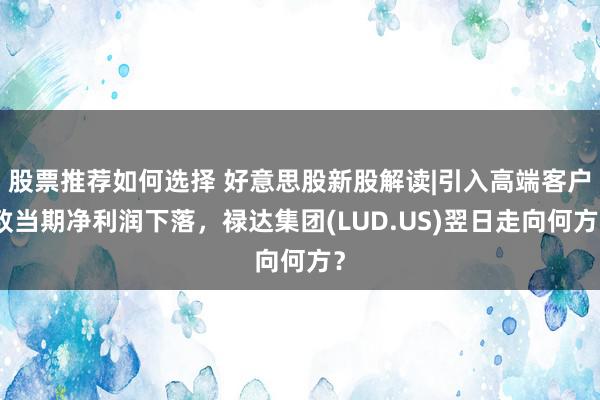 股票推荐如何选择 好意思股新股解读|引入高端客户致当期净利润下落，禄达集团(LUD.US)翌日走向何方？