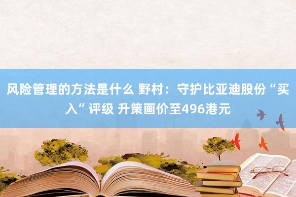 风险管理的方法是什么 野村：守护比亚迪股份“买入”评级 升策画价至496港元