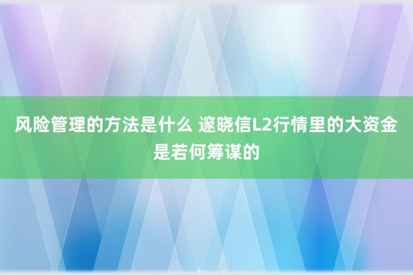 风险管理的方法是什么 邃晓信L2行情里的大资金是若何筹谋的