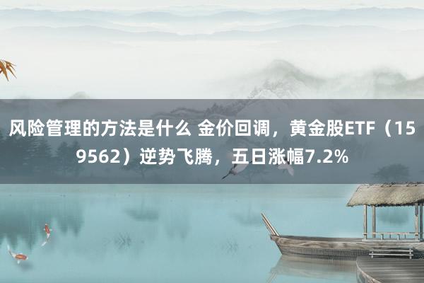 风险管理的方法是什么 金价回调，黄金股ETF（159562）逆势飞腾，五日涨幅7.2%