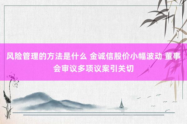 风险管理的方法是什么 金诚信股价小幅波动 董事会审议多项议案引关切