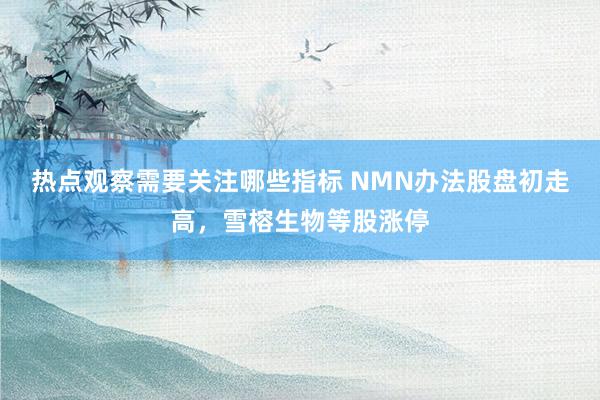 热点观察需要关注哪些指标 NMN办法股盘初走高，雪榕生物等股涨停